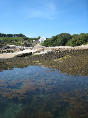 St. Agnes PAN1 (07-14-2011 10:44)