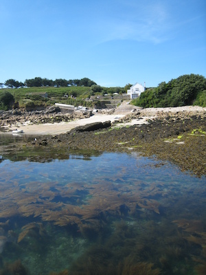 St. Agnes PAN1 (07-14-2011 10:44)