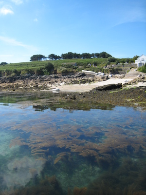 St. Agnes PAN1 (07-14-2011 10:44)