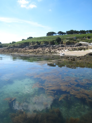 St. Agnes PAN1 (07-14-2011 10:44)