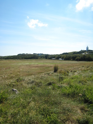 St. Agnes PAN4 (07-14-2011 11:06)