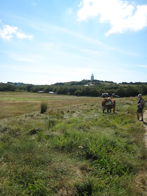 St. Agnes PAN4 (07-14-2011 11:06)