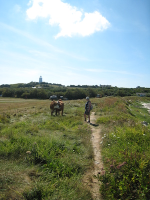 St. Agnes PAN4 (07-14-2011 11:06)