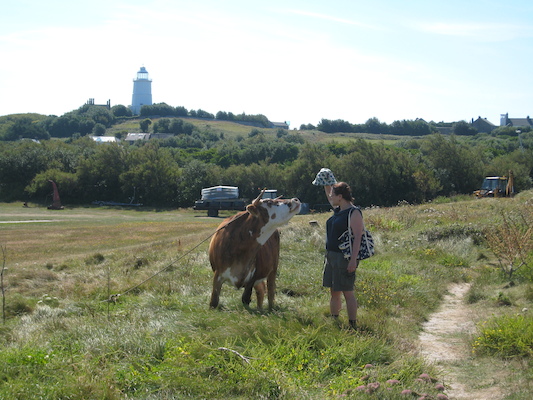 Xine and the cow (07-14-2011 11:06)