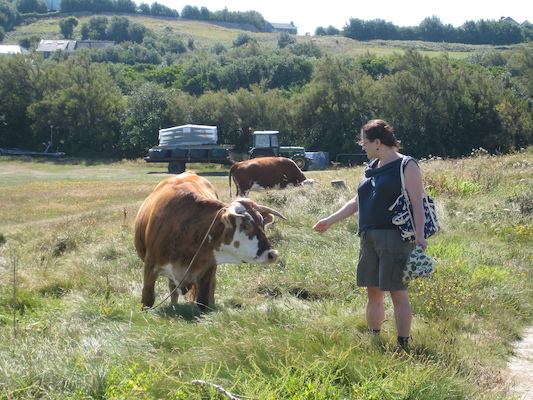 Xine and the cow (07-14-2011 11:07)