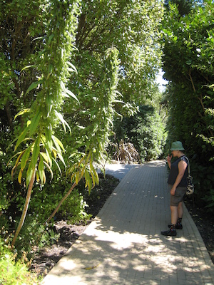 Xine in the Abbey gardens (07-14-2011 13:06)