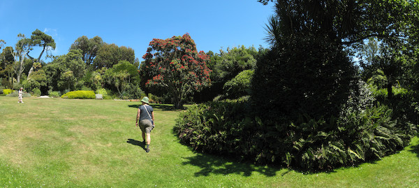 IMG_1082-IMG_1087 (07-14-2011 13:14)