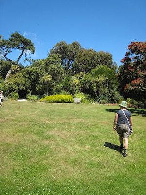 Abbey gardens PAN1 (07-14-2011 13:14)