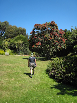 Abbey gardens PAN1 (07-14-2011 13:14)