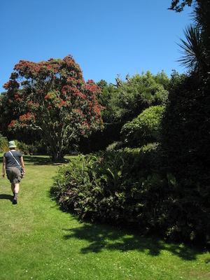 Abbey gardens PAN1 (07-14-2011 13:14)