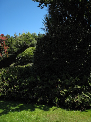 Abbey gardens PAN1 (07-14-2011 13:14)