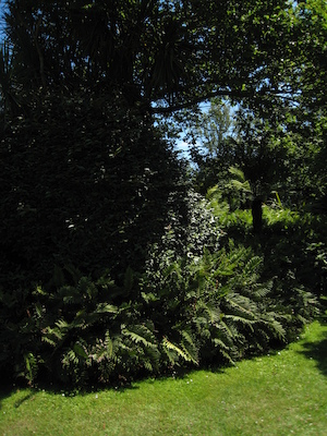 Abbey gardens PAN1 (07-14-2011 13:14)