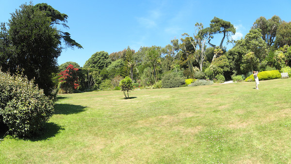 IMG_1088-IMG_1092 (07-14-2011 13:15)