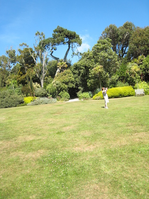 Abbey gardens PAN2 (07-14-2011 13:15)