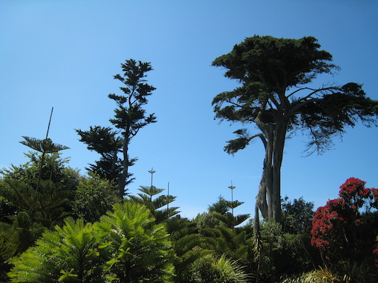 Abbey gardens (07-14-2011 13:19)