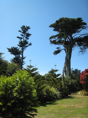 Abbey gardens (07-14-2011 13:19)