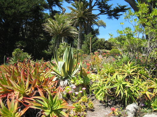 Abbey gardens (07-14-2011 13:33)