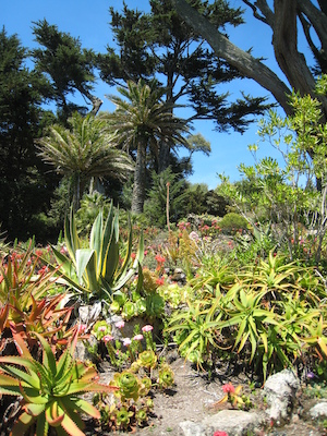 Abbey gardens (07-14-2011 13:33)