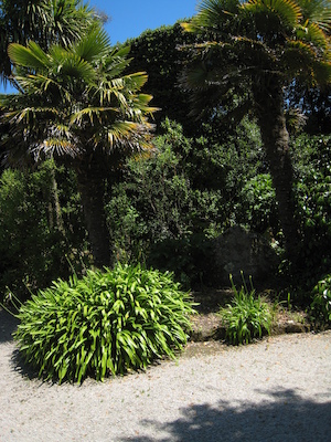 Abbey gardens PAN3 (07-14-2011 13:54)