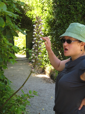 Xine in the garden (07-14-2011 13:54)