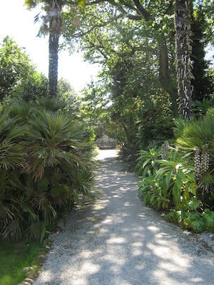 Xine in the garden (07-14-2011 13:56)