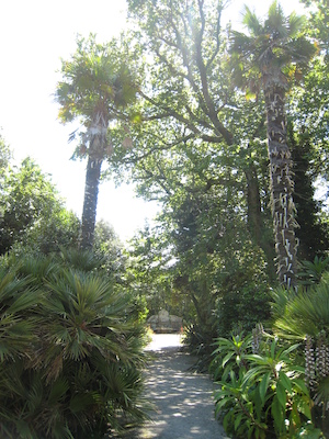 Abbey gardens (07-14-2011 13:56)