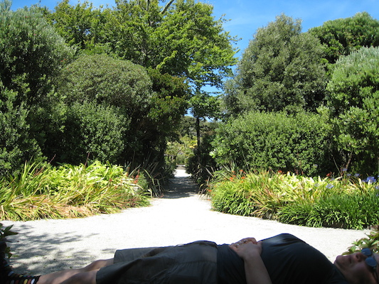 Sacrifcial Xine (07-14-2011 14:01)