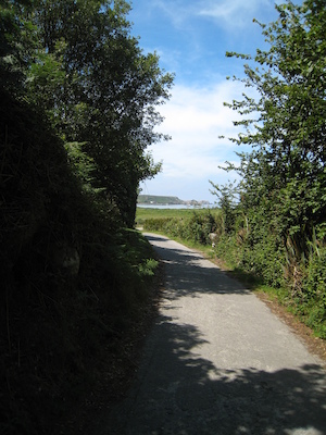 Tresco (07-14-2011 14:21)