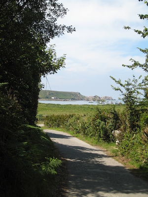 Tresco (07-14-2011 14:21)