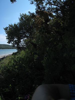 Bryher PAN1 (07-14-2011 16:41)