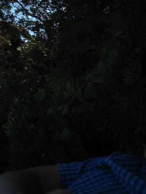 Bryher PAN1 (07-14-2011 16:41)