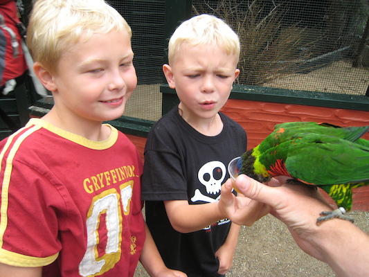 Tim. Cole and the lorikeets (07-15-2011 14:02)