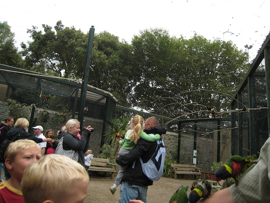 Tim and Cole watching the lorikeets on Ben (07-15-2011 14:02)