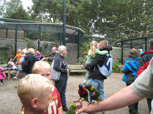 Tim and Cole and the lorikeets (07-15-2011 14:02)
