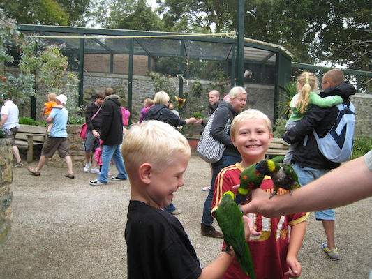 Tim and Cole and the lorikeets (07-15-2011 14:02)