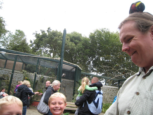 Cole, Tim and Ben with lorikeets (07-15-2011 14:02)