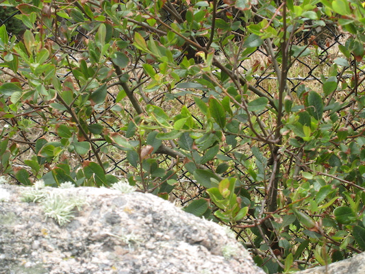 The mineshaft (07-16-2011 13:27)