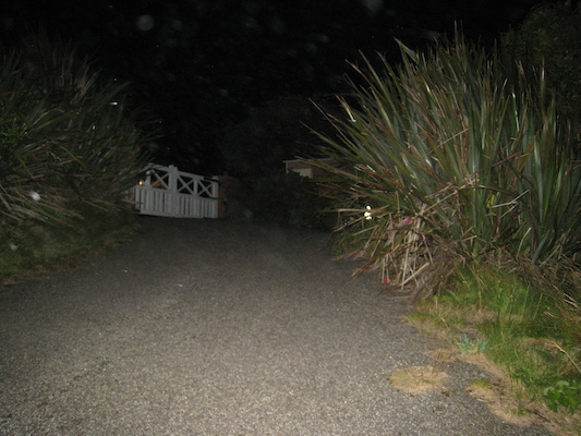 Hunting a hedgehog (07-17-2011 22:31)