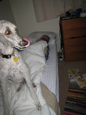 Bazzle on a sleeping Cole (07-17-2011 22:35)