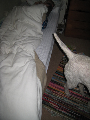 Bazzle (07-17-2011 22:35)