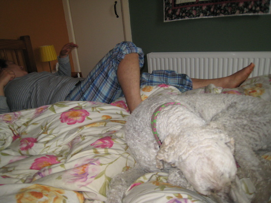 Bazzle on a sleeping Xine (07-18-2011 08:25)