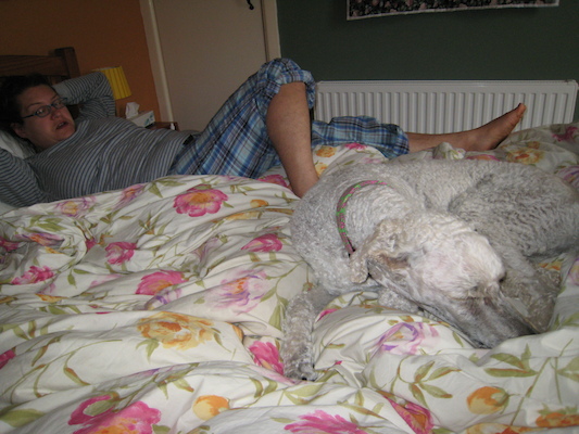 Bazzle on a sleeping Xine (07-18-2011 08:25)