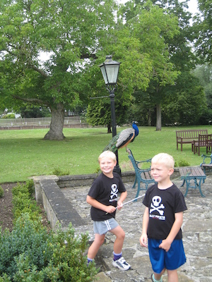 Tim, Cole and the peacock (07-21-2011 09:53)