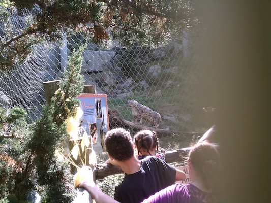 Snow Leopard (08-12-2011 16:13)