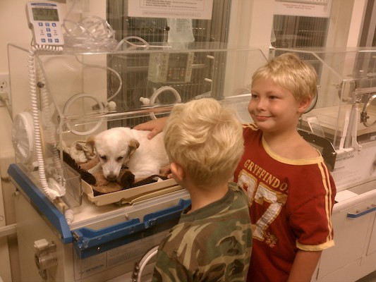Emily, Cole and Tim in the Vet ICU (08-30-2011 09:43)