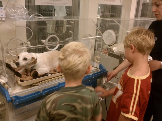 Emily, Cole and Tim in the Vet ICU (08-30-2011 09:43)