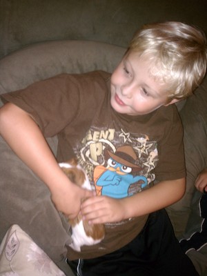 Tim and the Guinea Pig (09-07-2011 17:13)