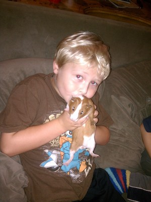 Tim and the Guinea Pig (09-07-2011 17:14)