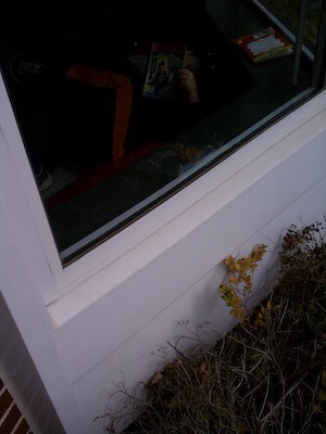 Tim reading at the library (10-22-2011 12:02)