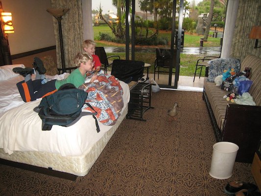 01 (12-11-2011 20:17)